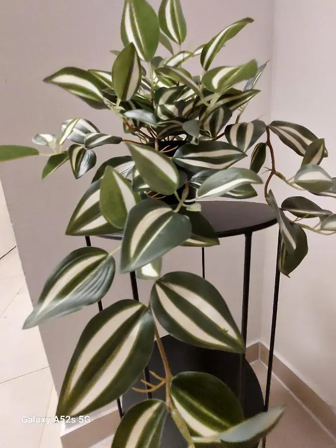 Appartement Am Uni Park Koeln Suelz קלן